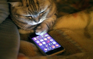 Как iPhone влияет на мозг человека